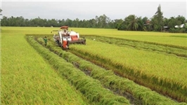 Nhiều hỗ trợ cho doanh nghiệp đầu tư vào nông nghiệp, nông thôn có hiệu lực kể từ tháng 11 năm 2014