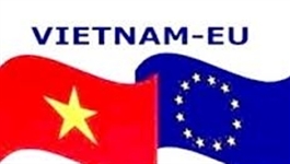 Tình hình đầu tư trực tiếp của các nước EU vào Việt Nam