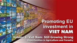 Viet Nam: Still Growing Strong Opportunities in Agriculture and Forestry