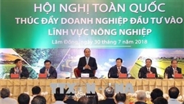 VN should become one of world’s top 15 farming nations